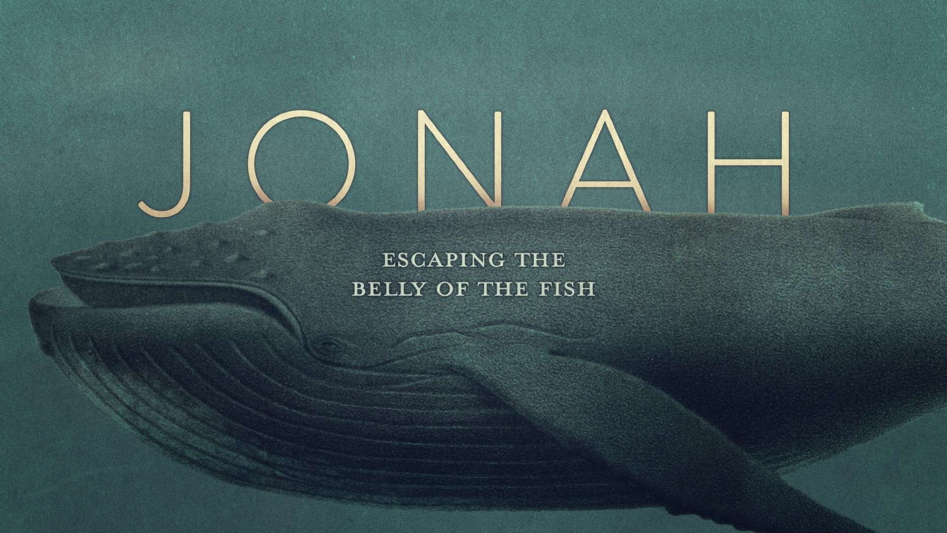 Jonah Overview – Pillar Church of Havelock